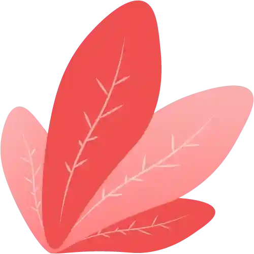 shape-leaf